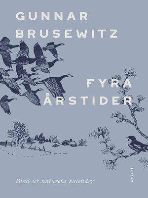 cover image of Fyra årstider
